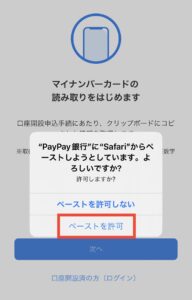 ペーストを許可